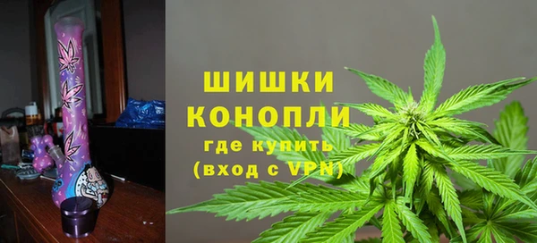 spice Михайлов