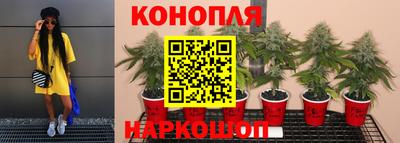 PSILOCYBIN Донской
