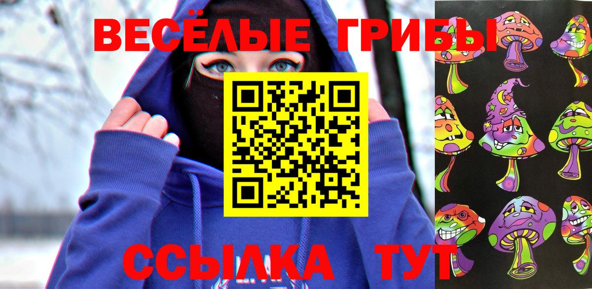 Псилоцибиновые грибы Psilocybine cubensis Камышлов