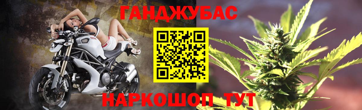 МАРИХУАНА конопля Камышлов